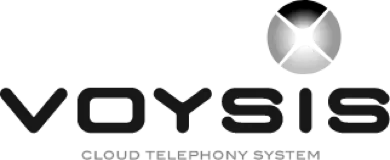 Voysis